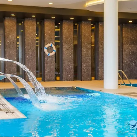 Lazar Polanki Aqua